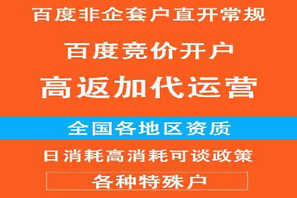 解析SEM外包公司如何优化广告投放策略
